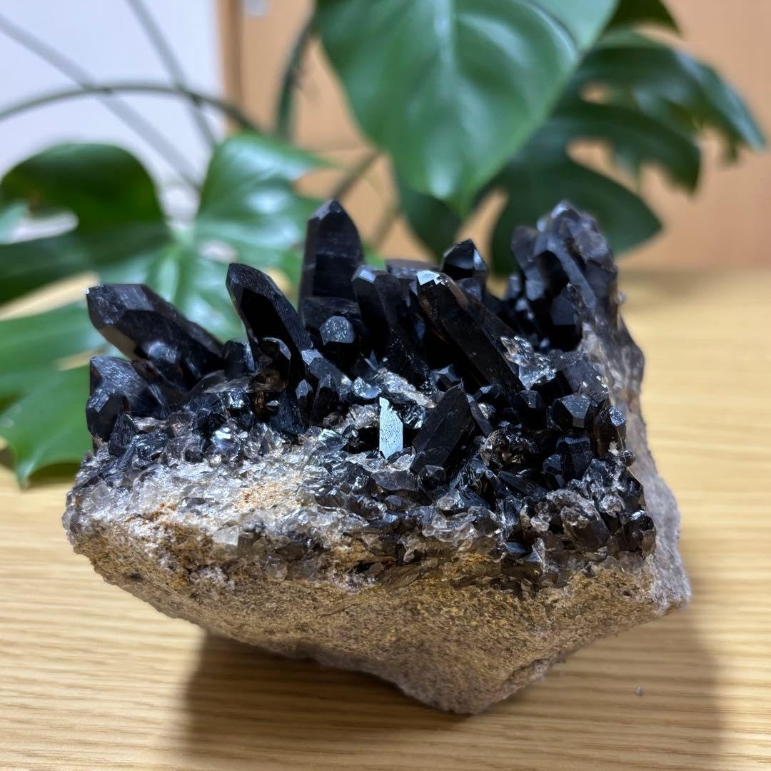 Amazon.co.jp: モリオンクラスター 1kg‪‪ ‬天然石 : ファッション‬